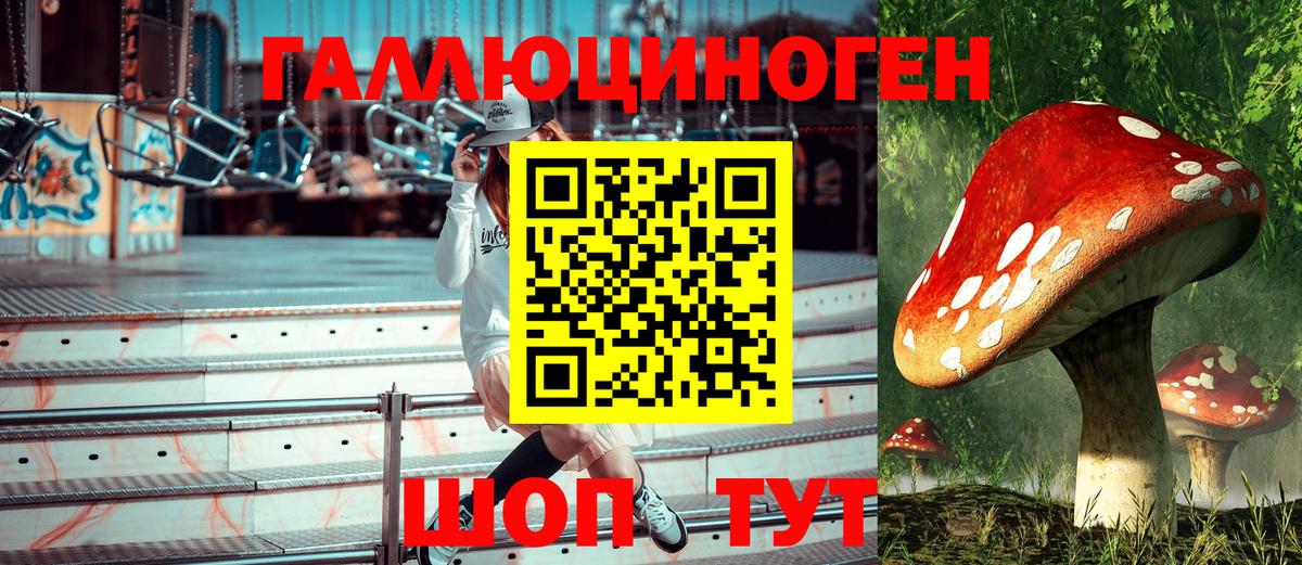 Псилоцибиновые грибы Psilocybine cubensis  Псилоцибиновые грибы мухоморы  Юрга  Вход с VPN 